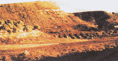 �����ǵ����� (59499 bytes)