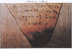 膳长的用字,对吗? (37366 bytes)