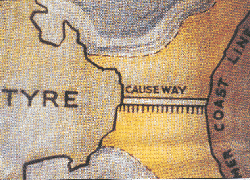 �����¾����޵�ʯ�� (50547 bytes)